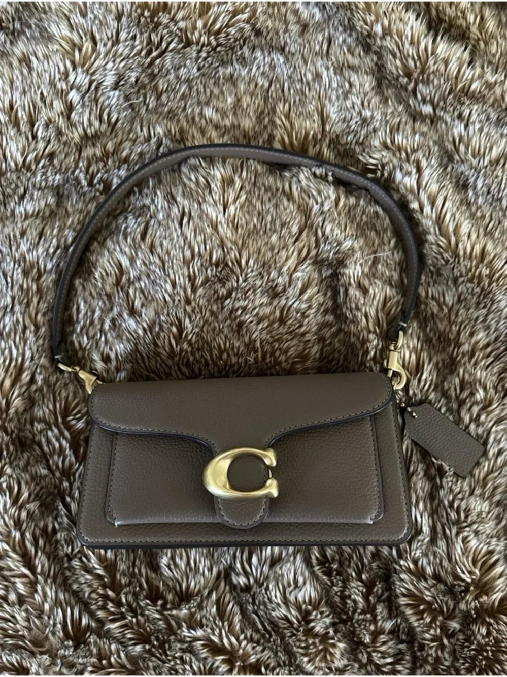 Coach Dark Stone Tabby 20 Shoulder Bag with Gold Hardware - Picture 4 of 5